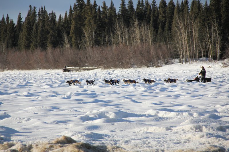 L'arrivée à Pelly sur la rivière glacée.