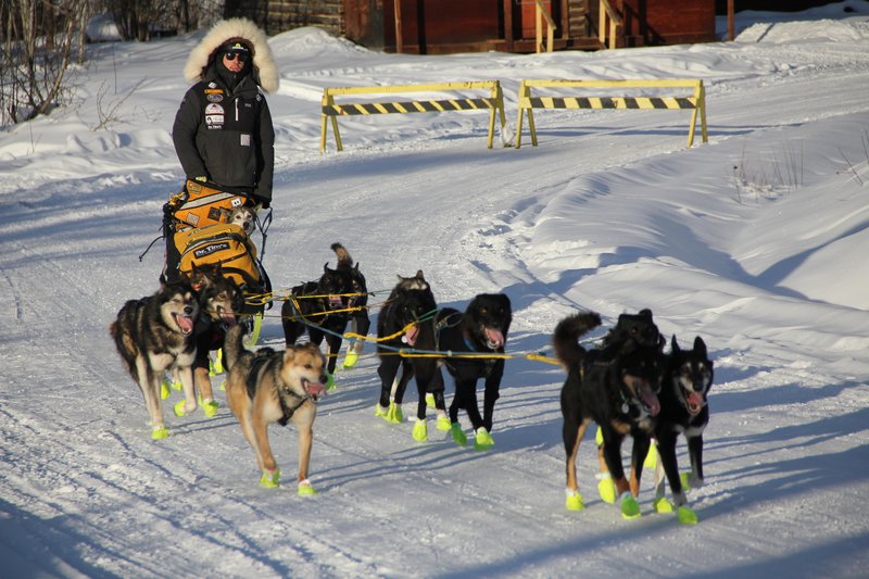 L'arrivée de Brent Sass, gagnant de la dernière Yukon Quest et de 4 onces d'or cette année pour être arrivé en premier à Dawson City.