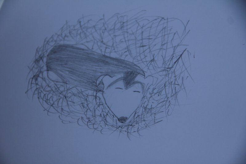 Emma en a profité pour faire un dessin.