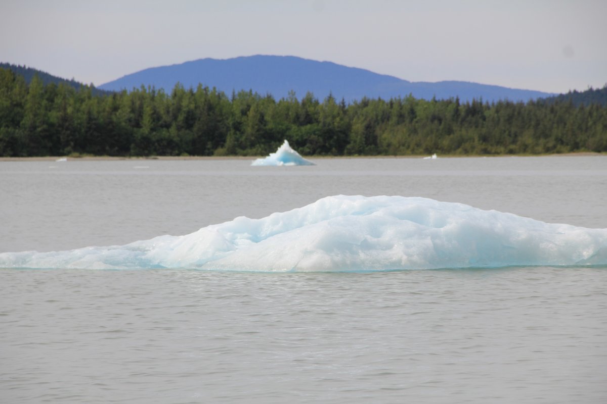 Icebergs à la dérive.