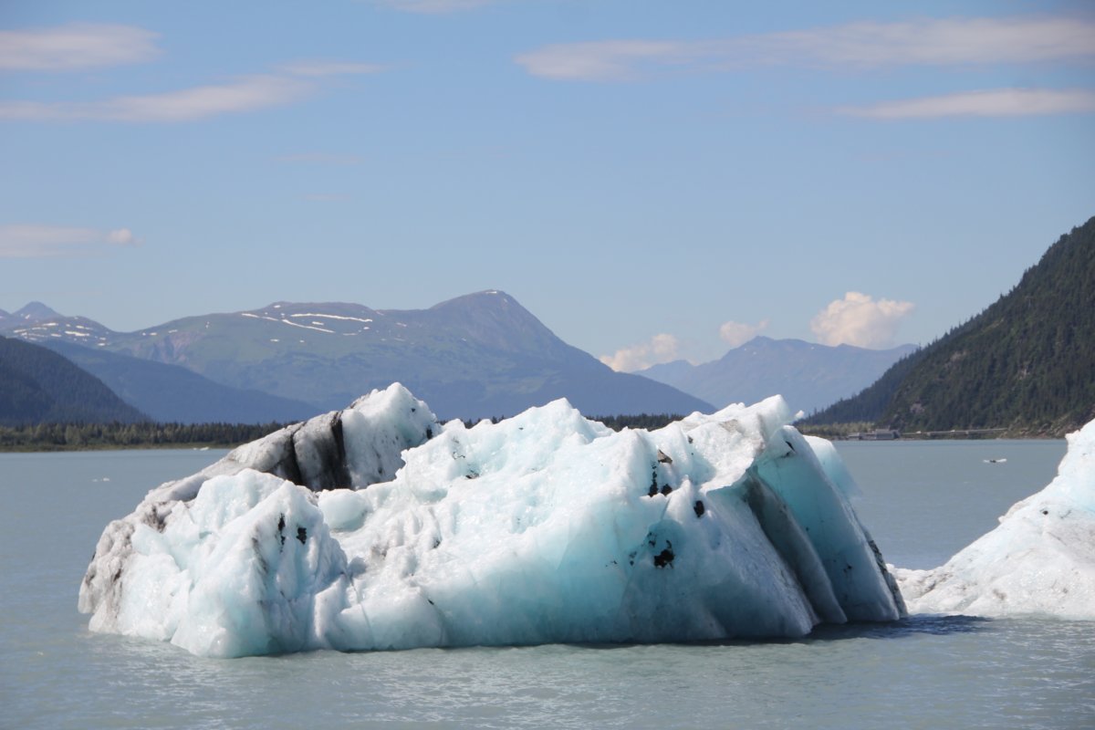 Des icebergs d'envergure qui dérivent.